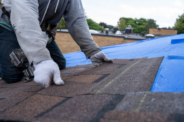 Tile Roofing Contractor in Lexington, MN