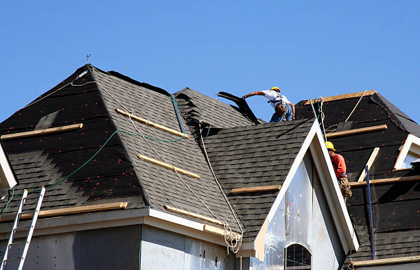 Roof Gutter Cleaning in Lexington, MN