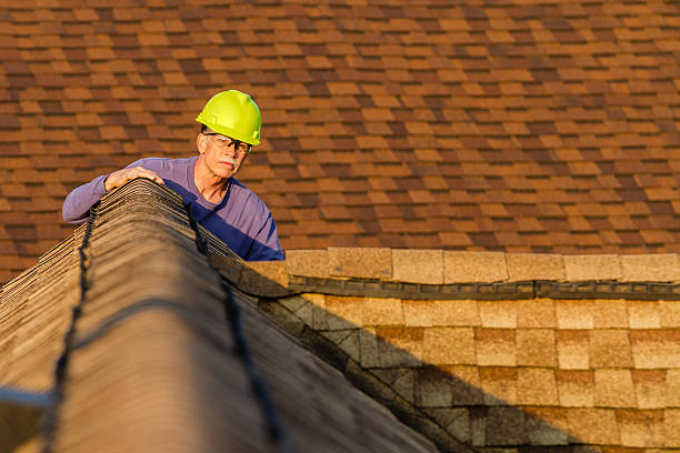 Trusted Lexington, MN Roofing Contractor Experts