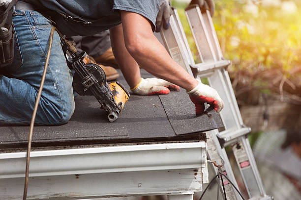 Professional Roofing Contractor in Lexington, MN