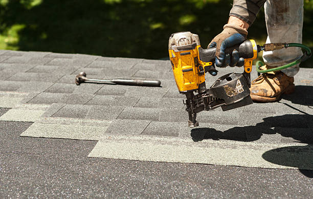 Best Roof Gutter Cleaning  in Lexington, MN