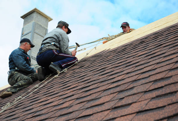 Best New Roof Installation  in Lexington, MN